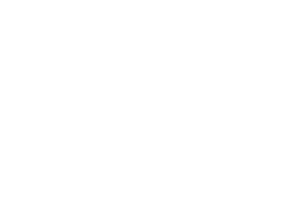 Human institute